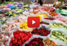 Asia’s premier flower hub sets new benchmarks in trading scale and logistics efficiency