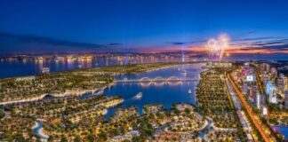 The Homeward Flow of Capital: Vinhomes at the Intersection of Global Wealth and Vietnam’s Opportunity