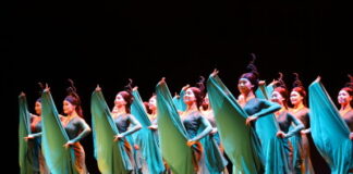 Wuhan takes its cultural showcase abroad at Duisburg China Festival