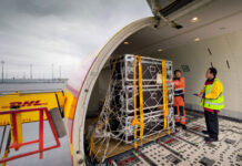 DHL Express sees rise in heavyweight shipments in Asia Pacific as businesses circumvent unpredictability