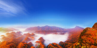 24th Sichuan Guangwu Mountain International Red Leaf Festival to Showcase Asia’s Spectacular Autumn Colors