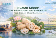Huagui Group: A Global Player Across Two RMB100-Billion Aquatic Markets, as Honghu Lotus Root Ranks No. 1 in Antioxidant Content