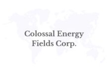 Colossal Energy Fields Corp. Announces Warren Irwin as Special Advisor and Significant Investor, Strengthening Financial Strategy, Capital Markets Insight and Energy Project Funding Capabilities