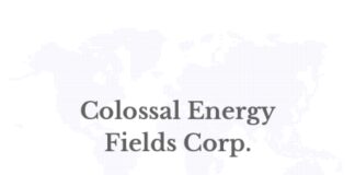 Colossal Energy Fields Corp. Announces Warren Irwin as Special Advisor and Significant Investor, Strengthening Financial Strategy, Capital Markets Insight and Energy Project Funding Capabilities