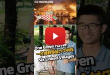 Decoding Rural China’s Governance: How six villages turn viral fame into shared prosperity